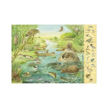 Найди и покажи. 1000 животных