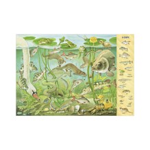 Найди и покажи. 1000 животных