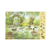 Найди и покажи. 1000 животных