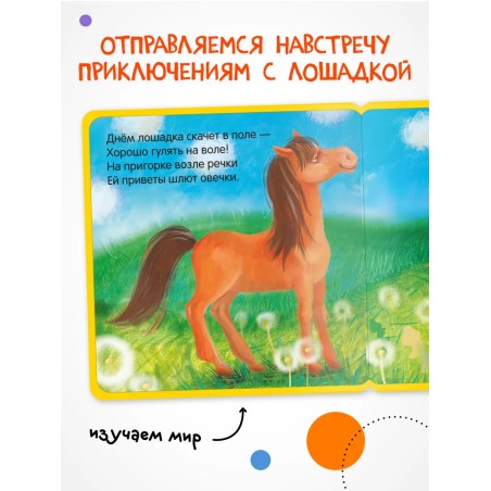 Моя первая книжка. Лошадка