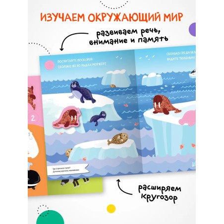 Найди, посчитай, наклей. На севере