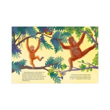 Удивительные животные. Малыш орангутанг. Приключения в тропиках