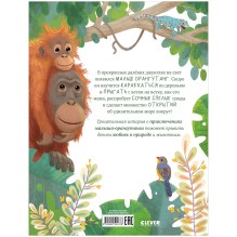 Удивительные животные. Малыш орангутанг. Приключения в тропиках