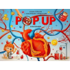POP UP энциклопедия. Анатомия