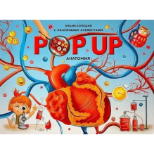 POP UP энциклопедия. Анатомия