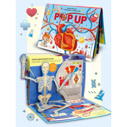 POP UP энциклопедия. Анатомия