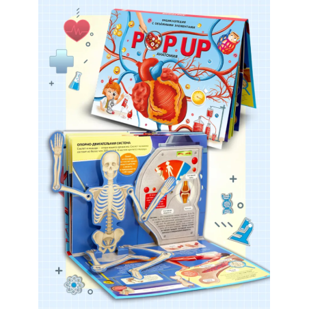 POP UP энциклопедия. Анатомия