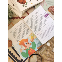 Как устроен мозг. Детская энциклопедия (Чевостик) (Paperback)