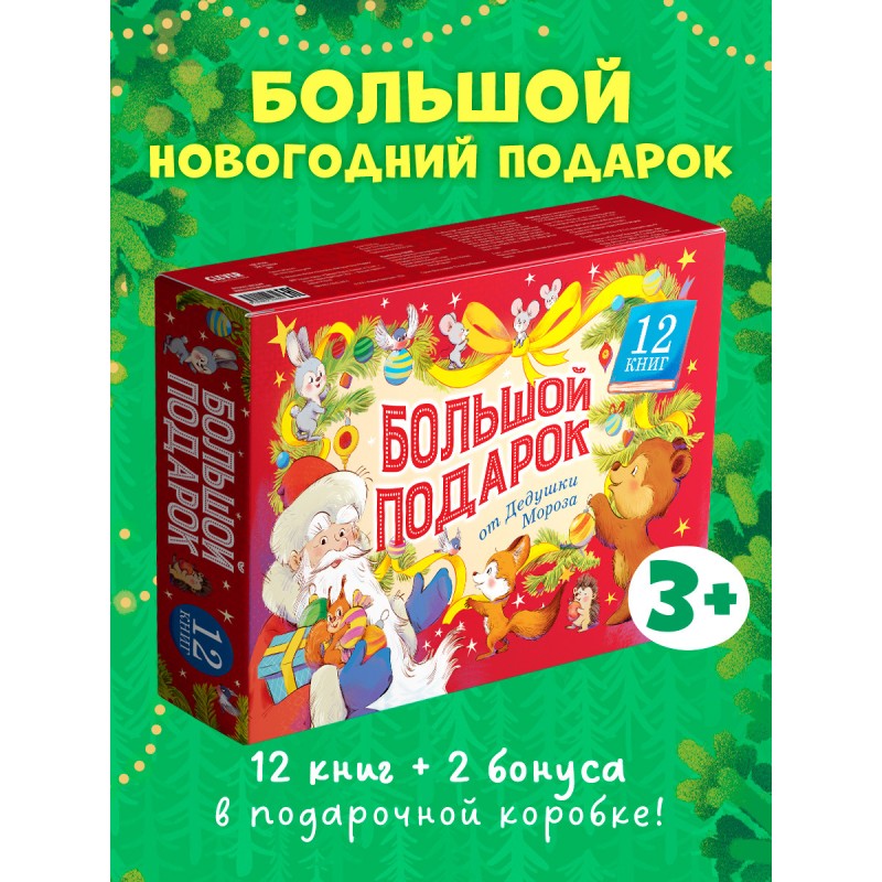 Большой подарок от Дедушки Мороза. Комплект из 12 книг