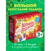 Большой подарок от Дедушки Мороза. Комплект из 12 книг
