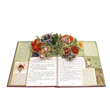 Алиса в Зазеркалье, или Сквозь зеркало и что там увидела Алиса