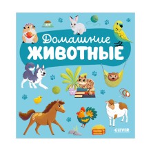 Домашние животные.