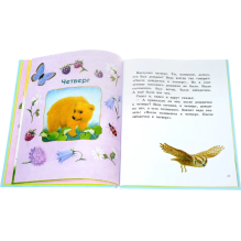 ДХЛ. Дневник медвежонка