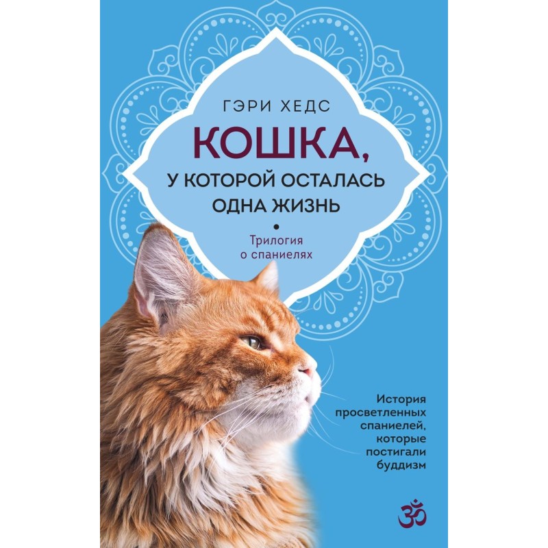 Кошка, у которой осталась одна жизнь Кошка, у которой осталась одна жизнь
