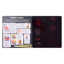 Как устроено твое тело. Увлекательное путешествие с фонариком