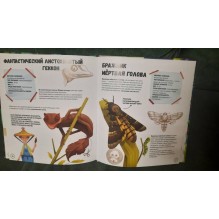 Самые странные животные