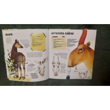 Самые странные животные