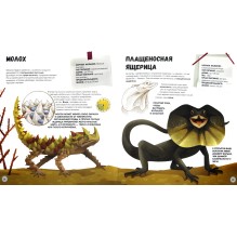 Самые странные животные