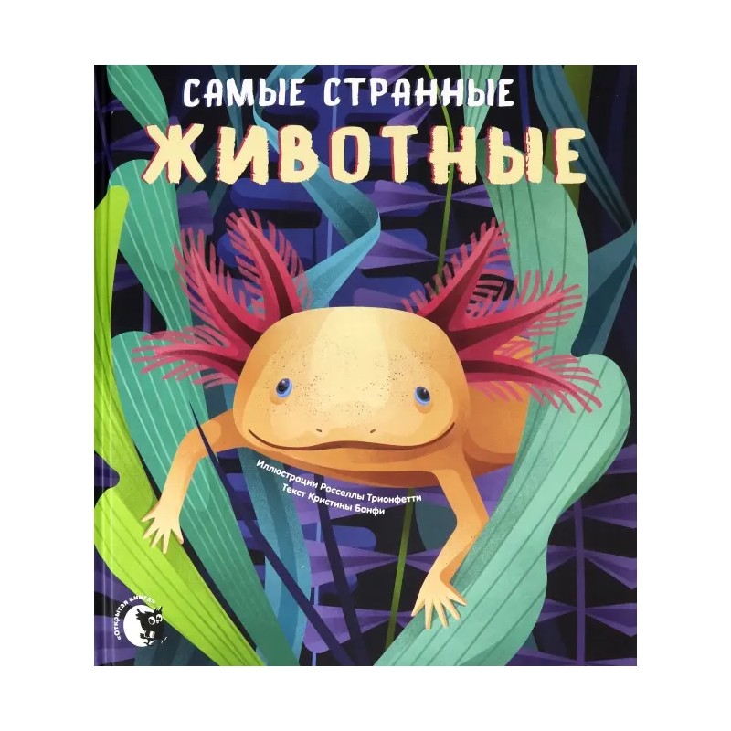 Самые странные животные Самые странные животные