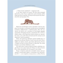 Маленький принц (рис. автора)