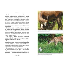 Бемби (с кинообложкой)