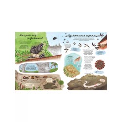 Открой тайны. Эволюция. Книга с окошками