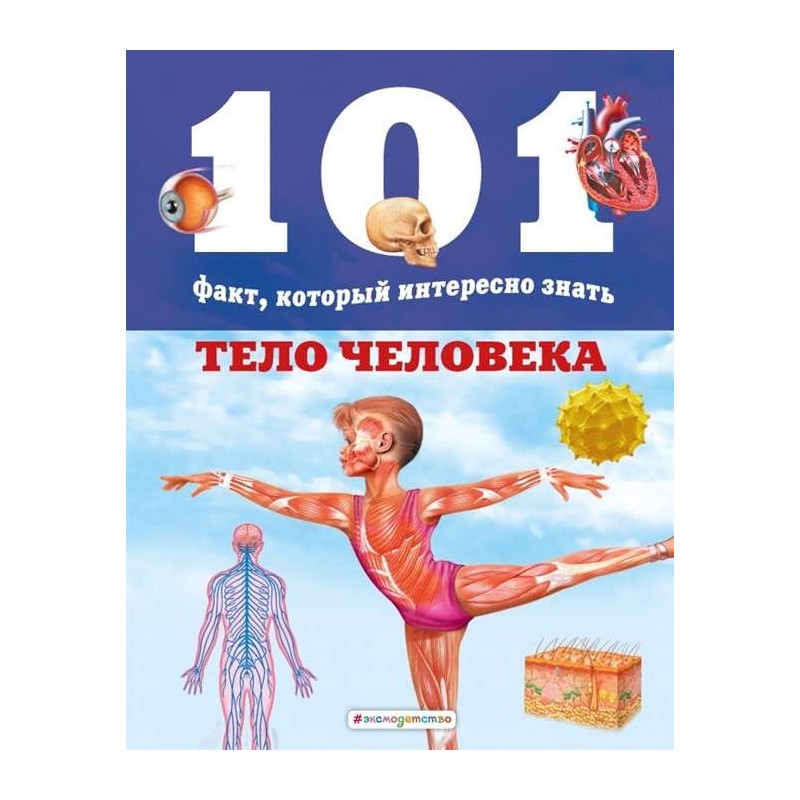 Тело человека Тело человека