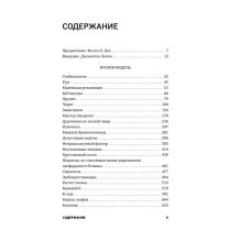 Вторая модель