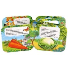 Фрукты-овощи. Книжка с кармашками.
