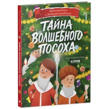 Приключения в Ледяной академии. Тайна волшебного посоха
