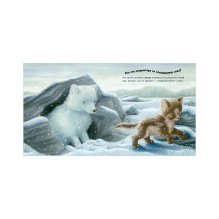 Книжки-картинки. В стране снежных чудес