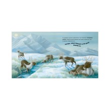 Книжки-картинки. В стране снежных чудес