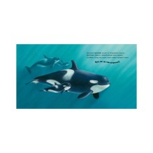 Книжки-картинки. В стране снежных чудес