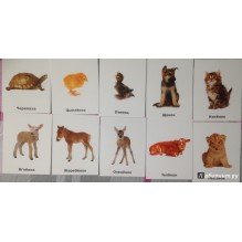 Набор карточек Смотрю. Играю. Узнаю. № 4