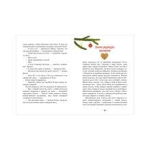 Секрет пряничной феи. Как спасти Рождество?