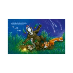 Приключения Ежульки. Самая звёздная ночь