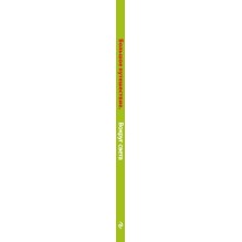 Большое Путешествие. Вокруг света. Книга для чтения с цветными картинками