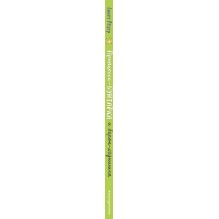 Принцесса-бунтарка и барон-лгунишка (3) (ил. К. Энгелькинг)