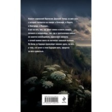 Варяг. Княжич Варяжский