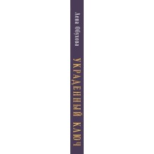 Украденный ключ