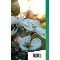 Вчера еще в глаза глядел...