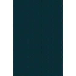 Собор Парижской Богоматери