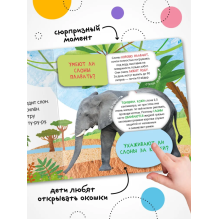 Книжка с окошками. Кто где живет?