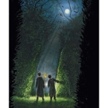 Гарри Поттер и Кубок Огня (с цветными иллюстрациями)