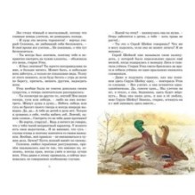 Серая шейка