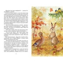 Серая шейка