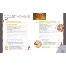 Первобытное искусство. Сокровища древних пещер