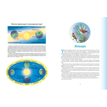 Времена года. Иллюстрированная энциклопедия