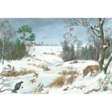 Времена года. Иллюстрированная энциклопедия