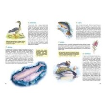 Природа России. Иллюстрированная энциклопедия